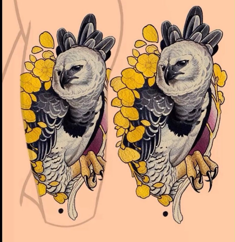 Diseño 17