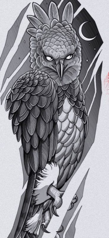 Diseño 52